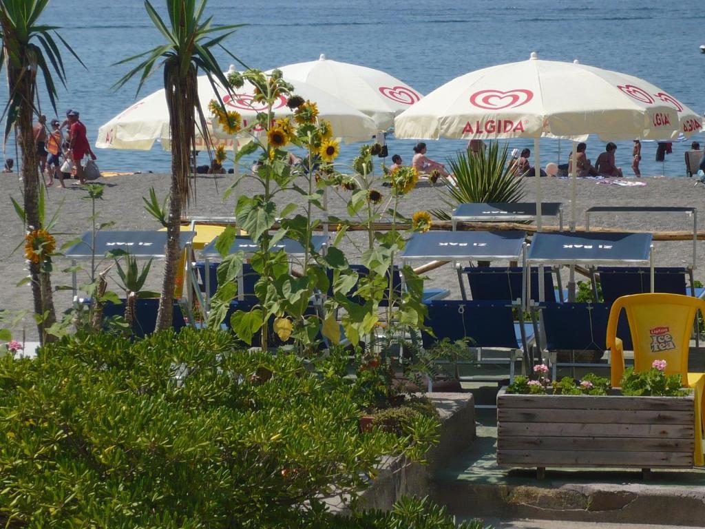 Zi Bak Bed and Breakfast Barano dʼIschia Esterno foto